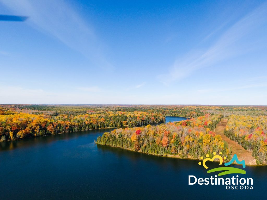 Home [www.oscodatownship.com]