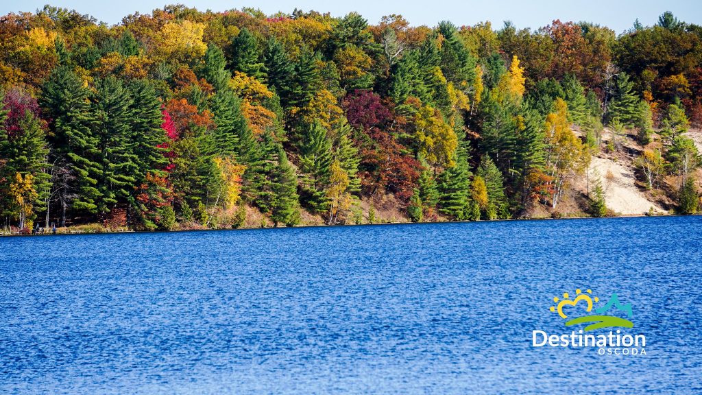 Home Not Quite a City, But Quite a Destination