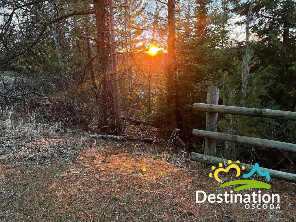 Home [www.oscodatownship.com]