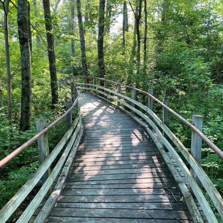 Home Not Quite a City, But Quite a Destination