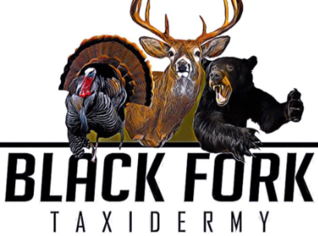 Black Fork Taxidermy Sanitation Companies